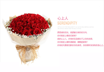 最美的红玫瑰花图片,最美的红玫瑰花图片大全