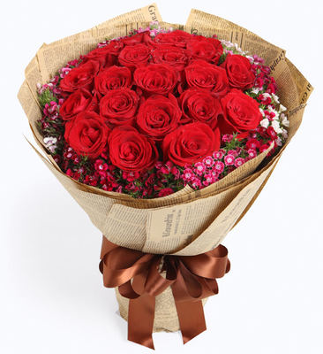 一支红玫瑰的花语是什么,一支红色玫瑰花的花语