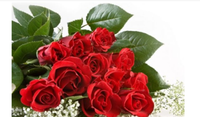 八朵红玫瑰代表什么意思,八朵红玫瑰的寓意
