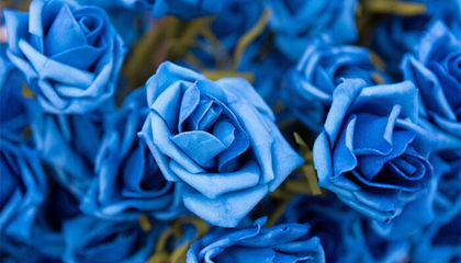 蓝玫瑰代表的意义,蓝玫瑰象征着什么