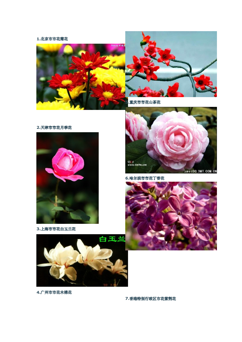 中国各城市市花图片及名称,中国各城市的市花是什么